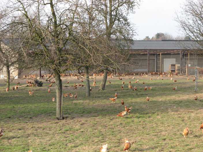 ferme bio